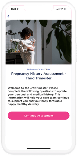 Pregnancy_Risk_Assessment_third_Trimester Pregnancy_Risk_Assessment_third_Trimester
